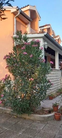 Apartmán Severní Dalmácie - Vodice DA 4188 N2