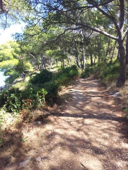 Apartmán Střední Dalmácie - Okrug Donji DA 3330 N1