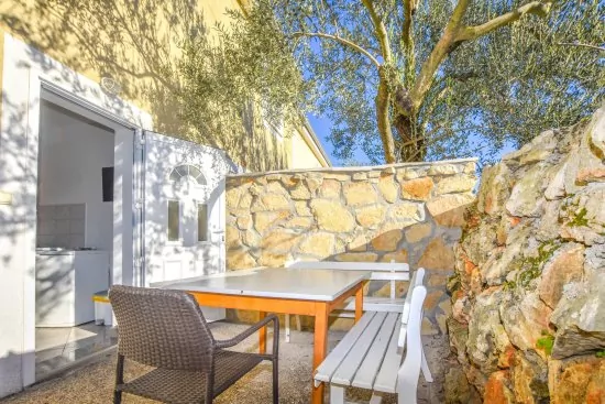 Apartmán Ostrov Pašman - Dobropoljana OS 5002 N1