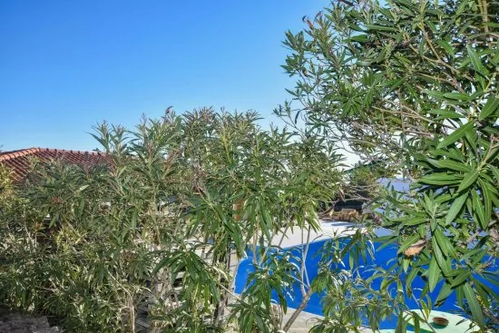 Apartmán Ostrov Pašman - Dobropoljana OS 5002 N1