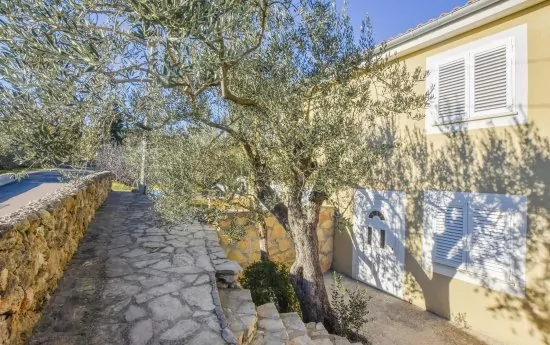 Apartmán Ostrov Pašman - Dobropoljana OS 5002 N2