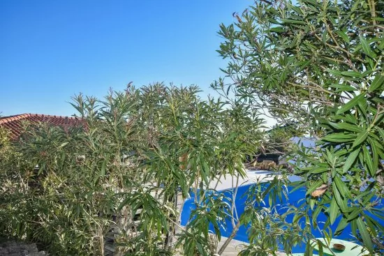 Apartmán Ostrov Pašman - Dobropoljana OS 5002 N4