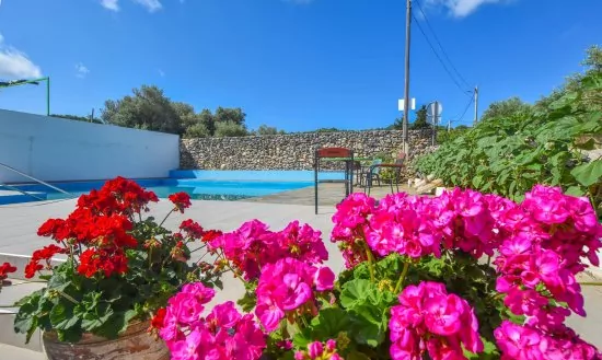 Apartmán Ostrov Pašman - Dobropoljana OS 5002 N4