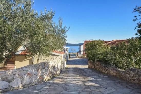 Apartmán Ostrov Pašman - Dobropoljana OS 5002 N7