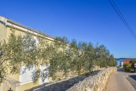 Apartmán Ostrov Pašman - Dobropoljana OS 5002 N7