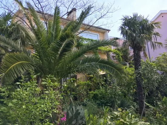 Apartmán Kvarner - Dramalj KV 2172 N3