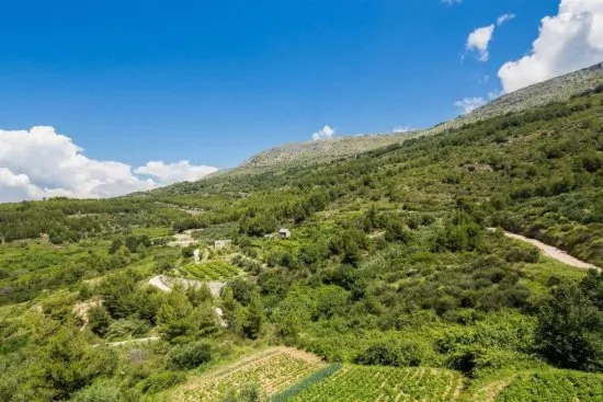 Apartmán Střední Dalmácie - Podstrana DA 2912 N4