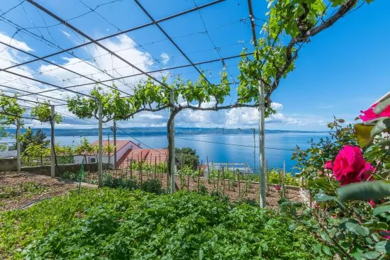 Apartmán Střední Dalmácie - Omiš DA 2701 N4