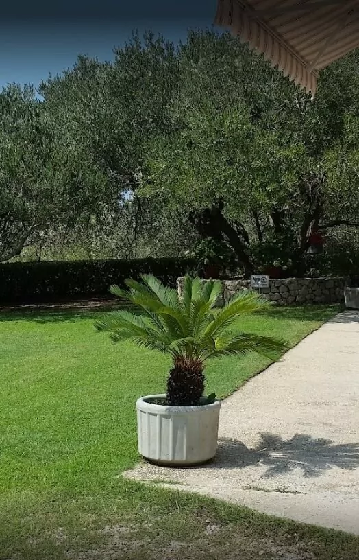 Apartmán Střední Dalmácie - Makarska DA 2018 N1