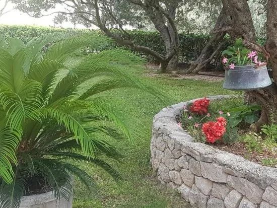 Apartmán Střední Dalmácie - Makarska DA 2018 N1