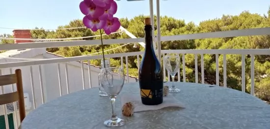 Apartmán Severní Dalmácie - Bilo (Primošten) DA 3637 N1