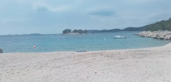 Apartmán Severní Dalmácie - Bilo (Primošten) DA 3637 N1