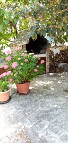 Apartmán Severní Dalmácie - Bilo (Primošten) DA 3637 N2