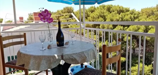 Apartmán Severní Dalmácie - Bilo (Primošten) DA 3637 N2