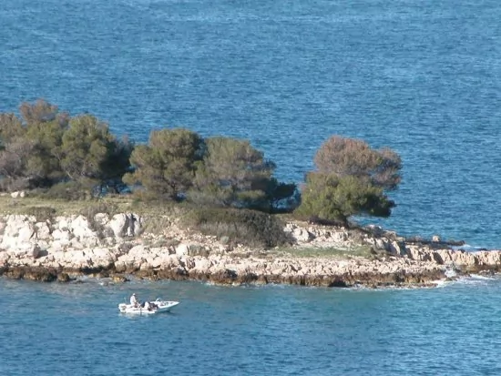 Apartmán Severní Dalmácie - Bilo (Primošten) DA 3637 N3