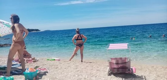 Apartmán Severní Dalmácie - Bilo (Primošten) DA 3637 N4