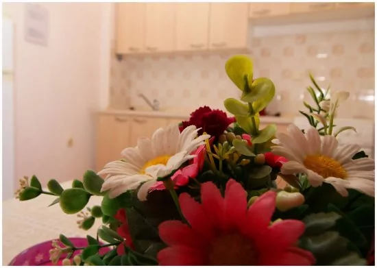 Apartmán Severní Dalmácie - Bilo (Primošten) DA 3637 N4