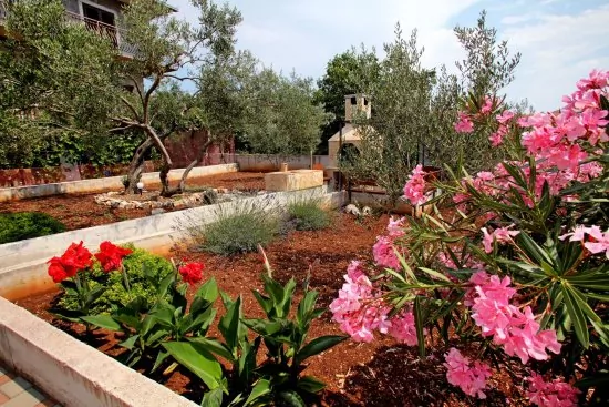 Apartmán Střední Dalmácie - Okrug Gornji DA 3332 N1