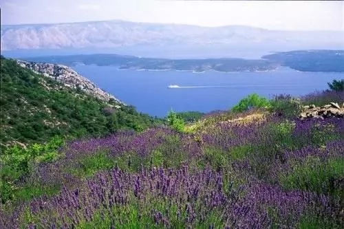 Apartmán Ostrov Hvar - Ivan Dolac OS 2012 N2