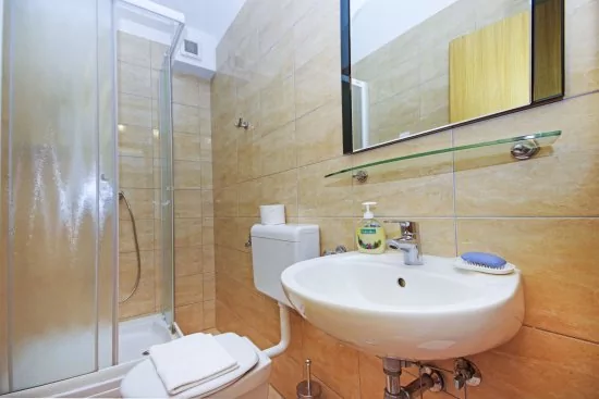 Apartmán Střední Dalmácie - Makarska DA 2019 N6