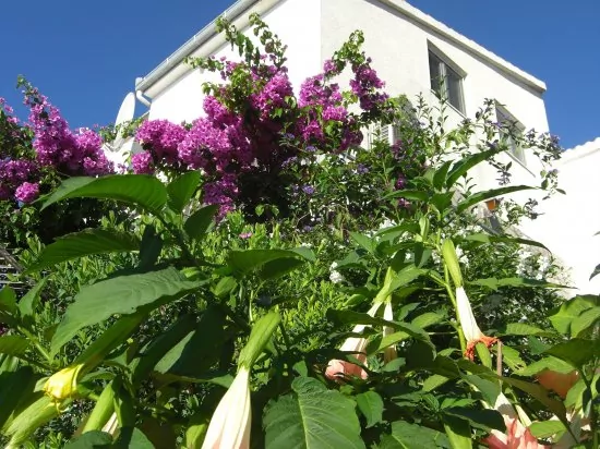 Apartmán Střední Dalmácie - Okrug Gornji DA 3334 N1