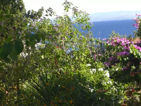 Apartmán Střední Dalmácie - Okrug Gornji DA 3334 N1