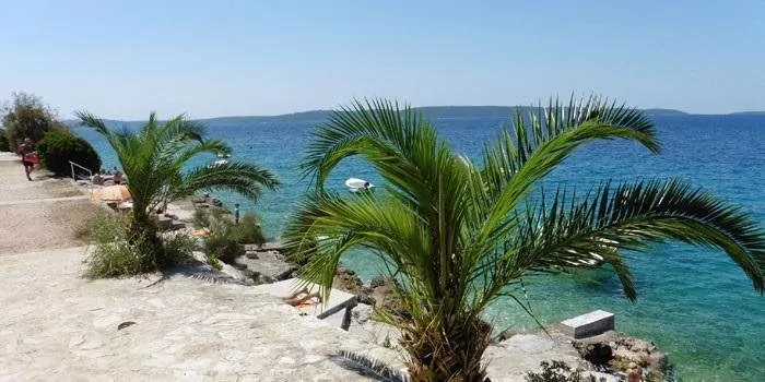 Apartmán Střední Dalmácie - Okrug Gornji DA 3334 N2