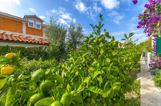 Apartmán Střední Dalmácie - Okrug Gornji DA 3336 N4