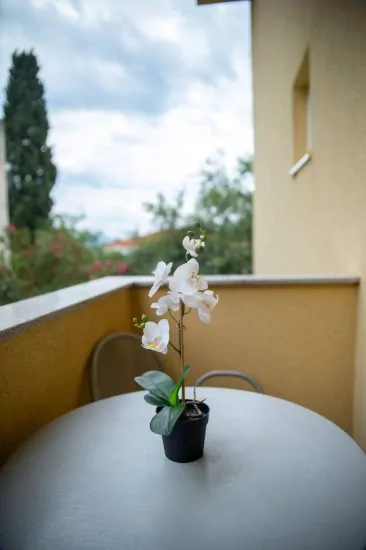 Apartmán Střední Dalmácie - Gradac DA 1403 N2