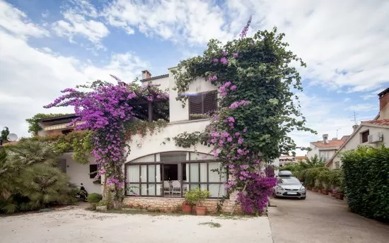 Apartmán Istrie - Rovinj IS 3016 N1