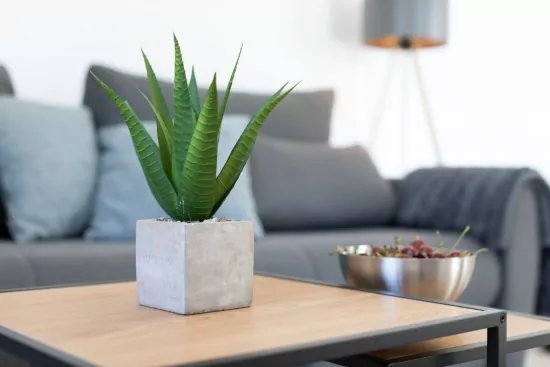 Apartmán Střední Dalmácie - Mimice DA 2406 N5