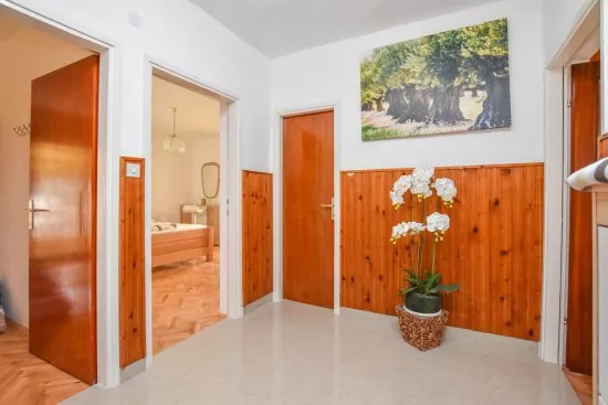 Apartmán Severní Dalmácie - Biograd na Moru DA 4738 N1