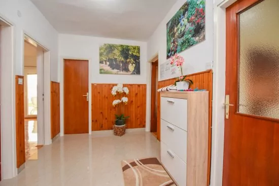 Apartmán Severní Dalmácie - Biograd na Moru DA 4738 N1