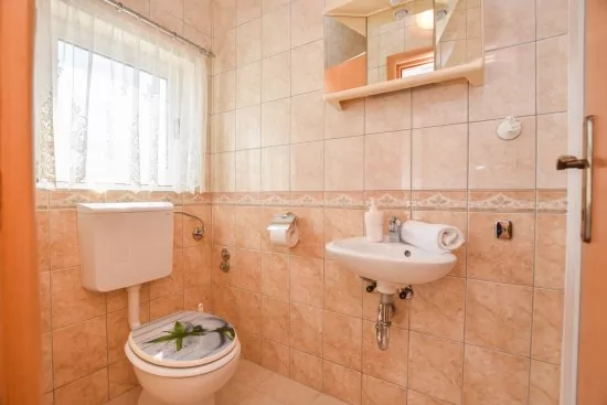 Apartmán Severní Dalmácie - Biograd na Moru DA 4739 N3
