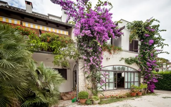 Apartmán Istrie - Rovinj IS 3017 N3