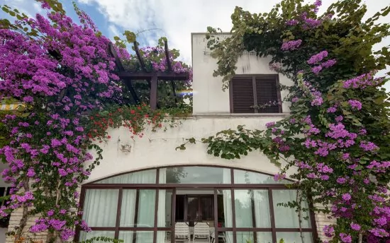 Apartmán Istrie - Rovinj IS 3019 N2