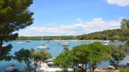 Pobřeží Banjole 300 m pěší chůzí.