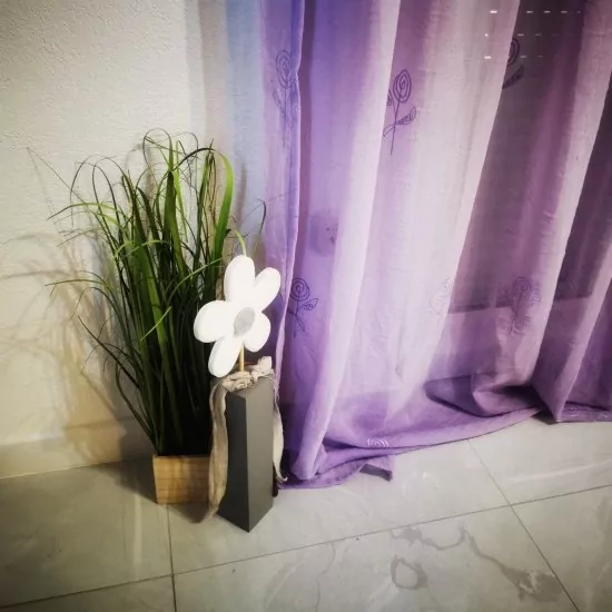 Apartmán Severní Dalmácie - Biograd na Moru DA 4741 N1