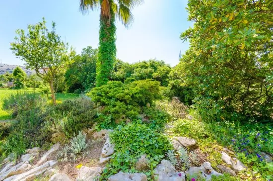 Apartmán Ostrov Rab - Lopar OS 7915 N1