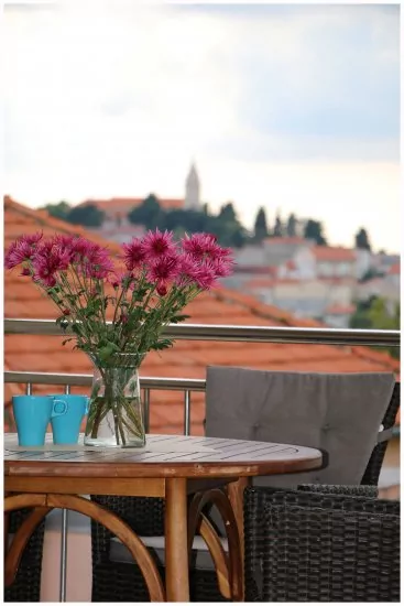 Apartmán Severní Dalmácie - Primošten DA 3639 N3