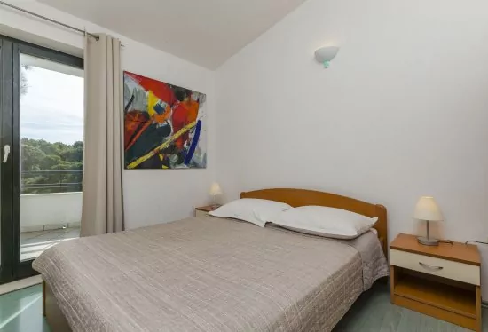 Apartmán Severní Dalmácie - Primošten DA 3643 N6