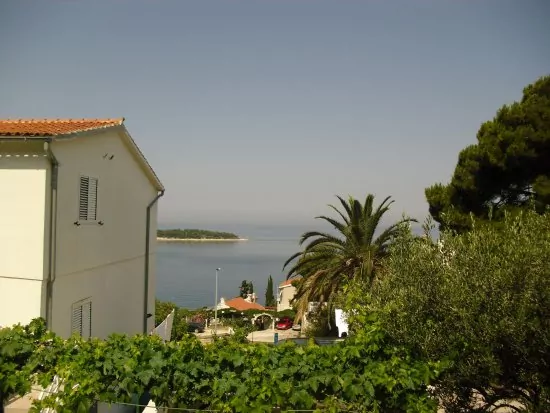 Apartmán Severní Dalmácie - Primošten DA 3663 N1