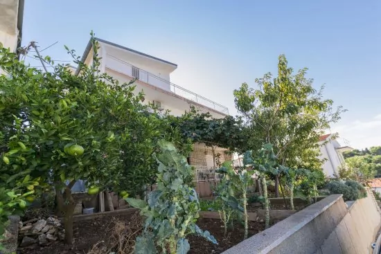 Apartmán Severní Dalmácie - Primošten DA 3646 N2