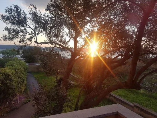 Apartmán Ostrov Pašman - Dobropoljana OS 5006 N3