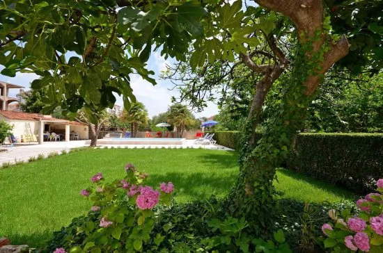 Apartmán Severní Dalmácie - Vodice DA 4223 N5