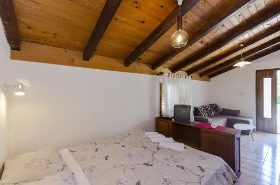 Apartmán Severní Dalmácie - Vodice DA 4223 N5