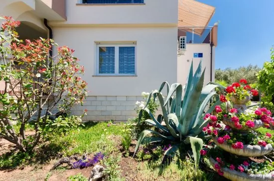 Apartmán Ostrov Krk - Punat OS 8210 N1