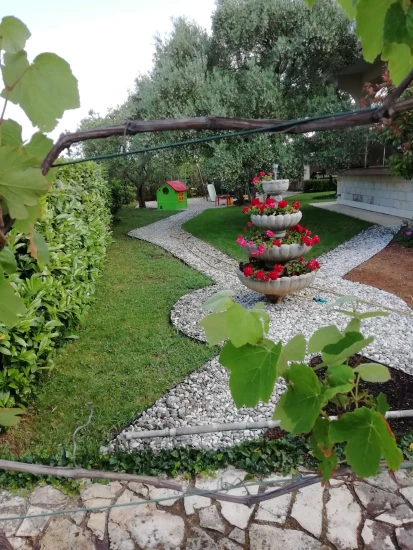 Apartmán Ostrov Krk - Punat OS 8210 N1