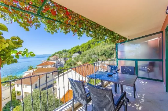 Apartmán Střední Dalmácie - Podgora DA 1910 N1