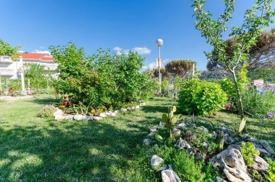 Apartmán Ostrov Rab - Lopar OS 7919 N1